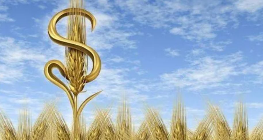 涤旧集团直播运营靠谱吗,涤旧供应链集团怎么样