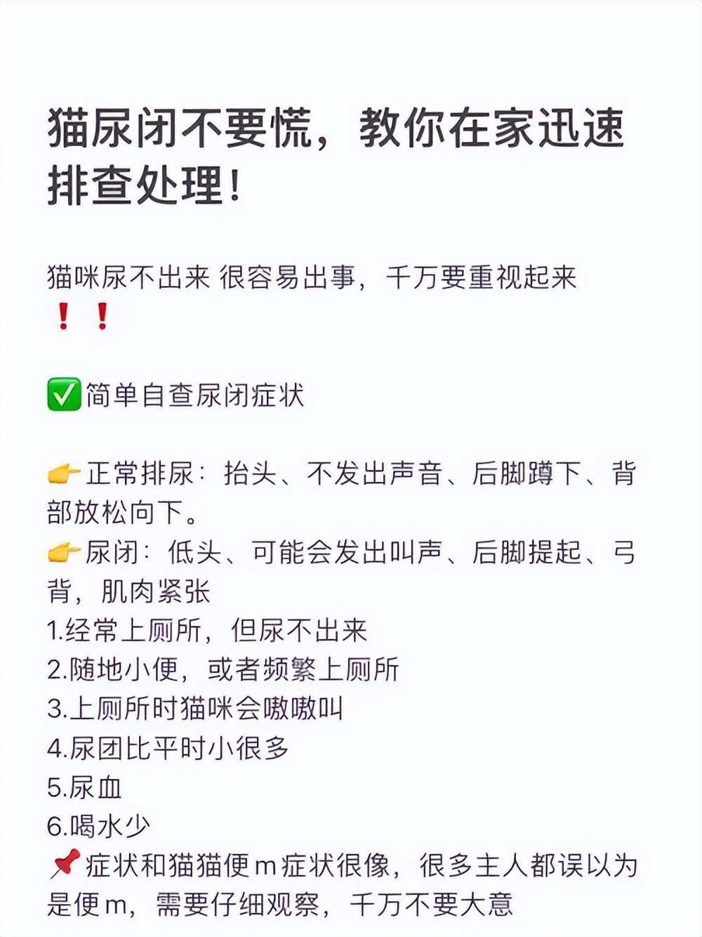猫咪一直蹲着尿不出来怎么办,猫咪拉不出尿怎么办快速解决