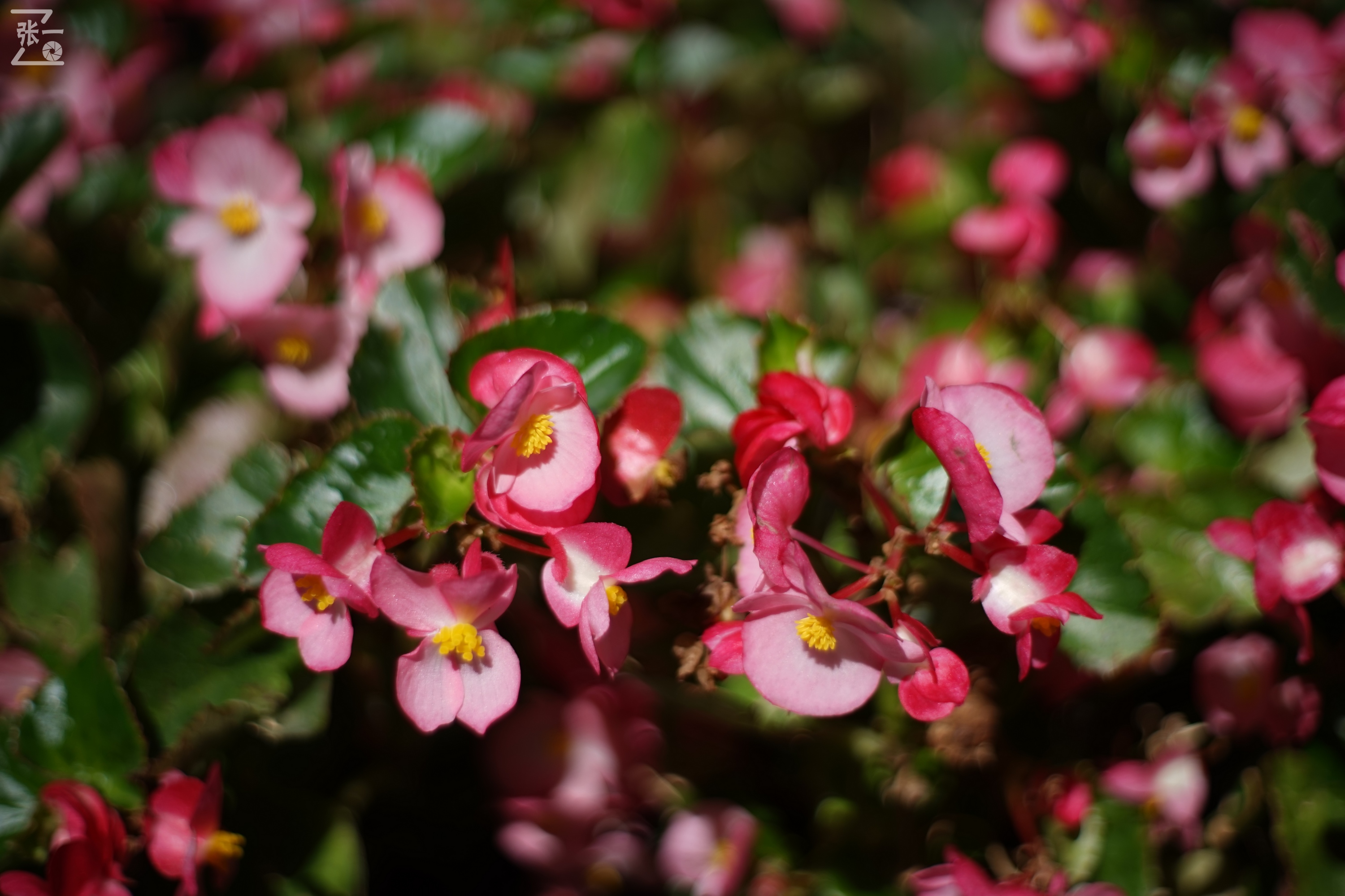 老镜头实拍,老镜头拍北京