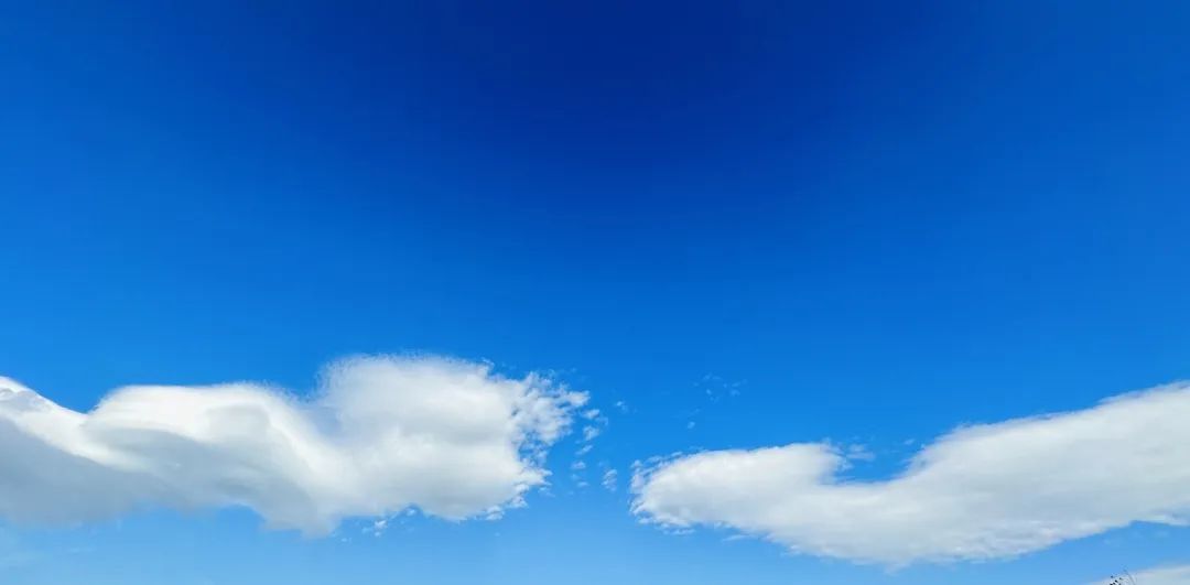 冬季洱海看海鸥最佳地方,这个冬天洱海该有多浪漫