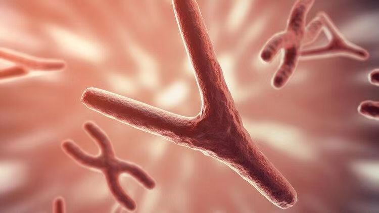 女性*处私**的润滑液是如何产生的?如何改善*处私**干燥?医生告诉你