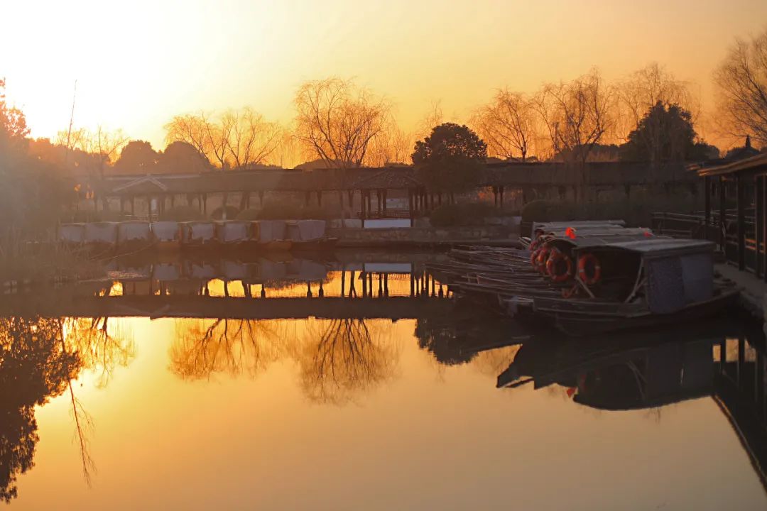 春来夏往，秋收冬藏，带你感受沙家浜的四季，别错过身边的美好