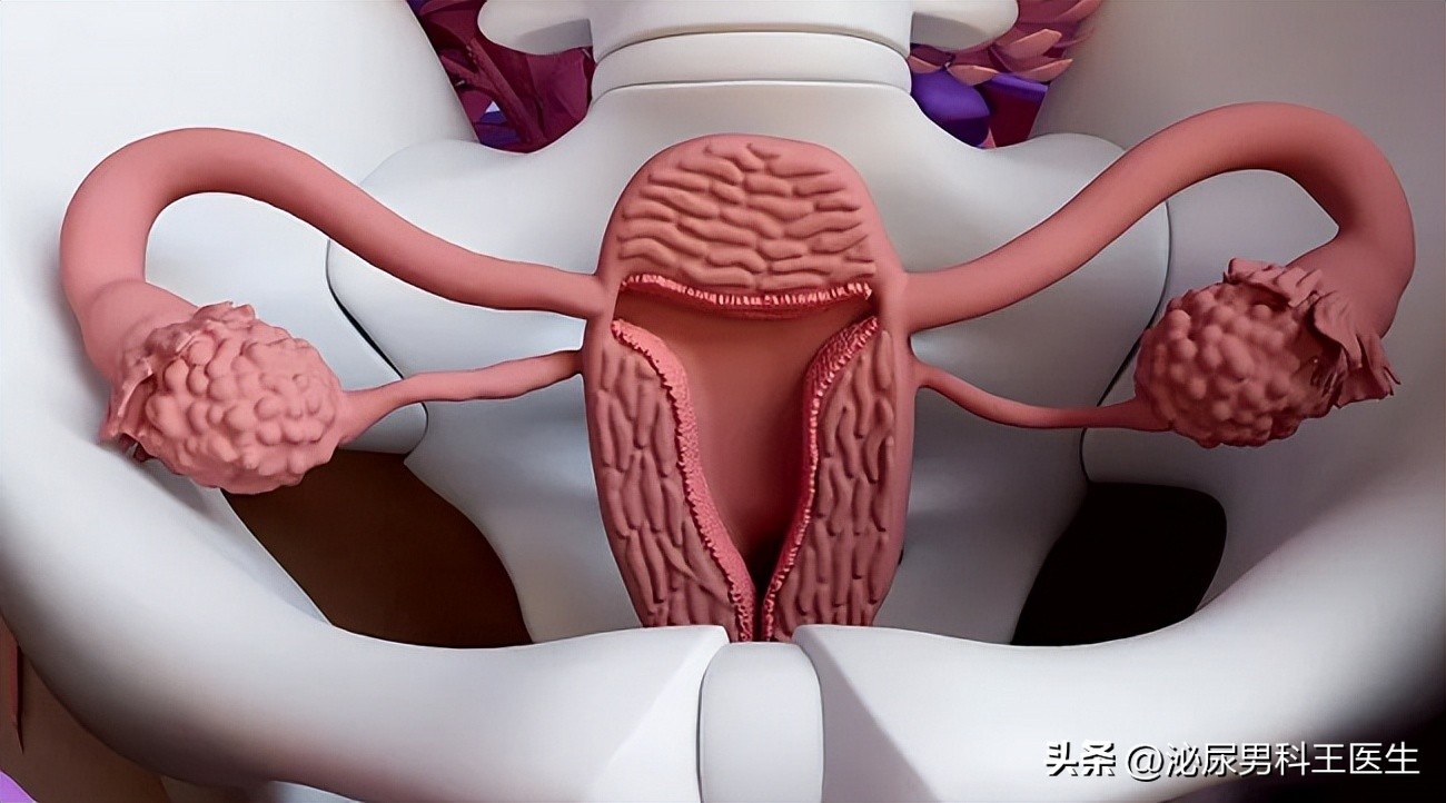 子宫脱垂的主要原因如何治疗好呢,子宫脱垂的主要原因是