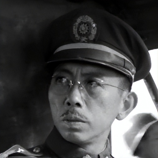 关于革命的小说红日简介,长篇小说红日沈振新的原型是谁