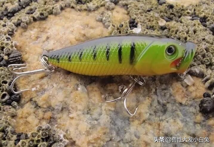 路亚饵的介绍大全,软饵路亚翘嘴