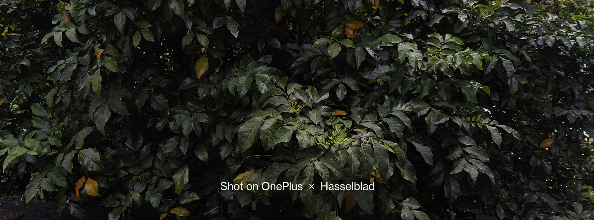 打工必备单品有哪些,提升打工人幸福感的小物件