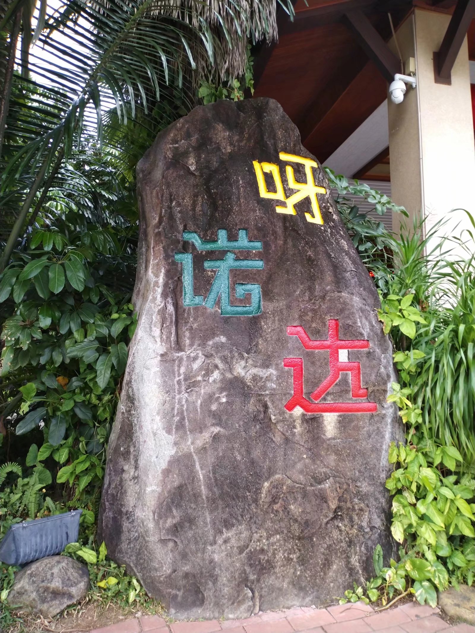 海南三亚旅游日记300字,三亚旅游攻略日志
