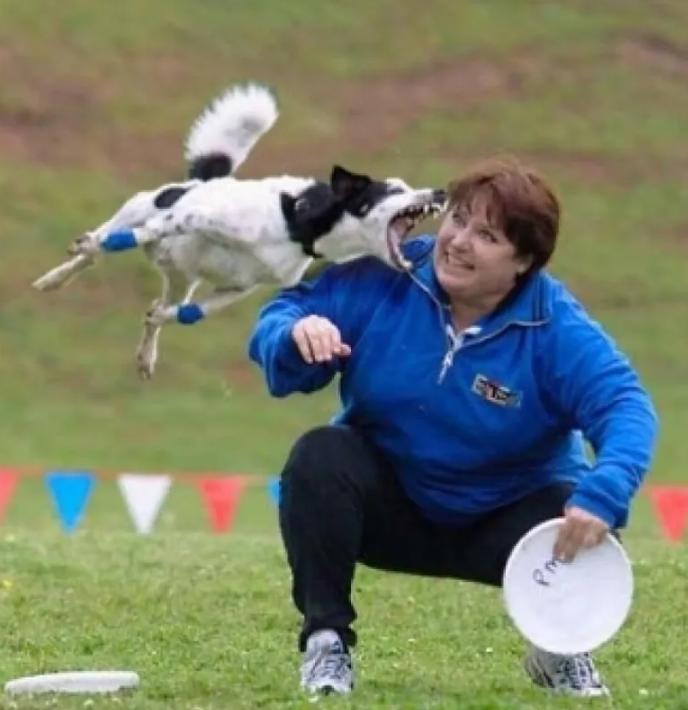 赛场上搞笑的瞬间救人,职业赛场上的十大爆笑场面