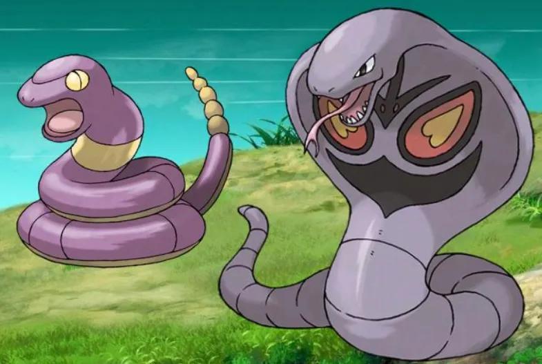 宝可梦世界人均体质,宝可梦毒锁链特性