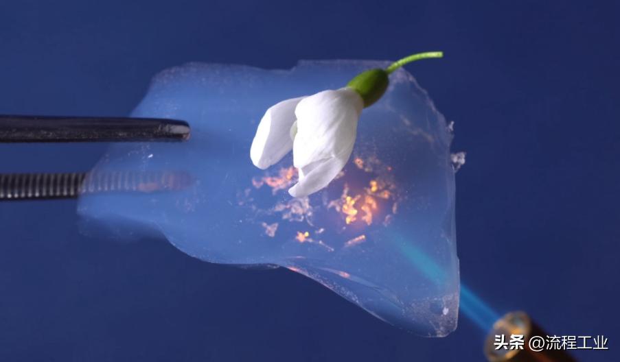 神奇的气凝胶,神奇材料气凝胶