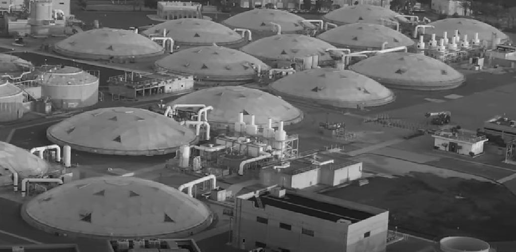 日本爆发罕见怪病事件的原因,日本爆发怪病事件最新