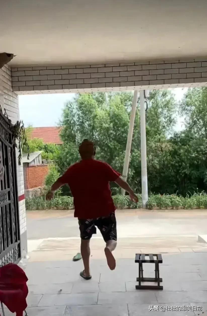 狮子魔性的笑声笑死人,狮子搞笑片