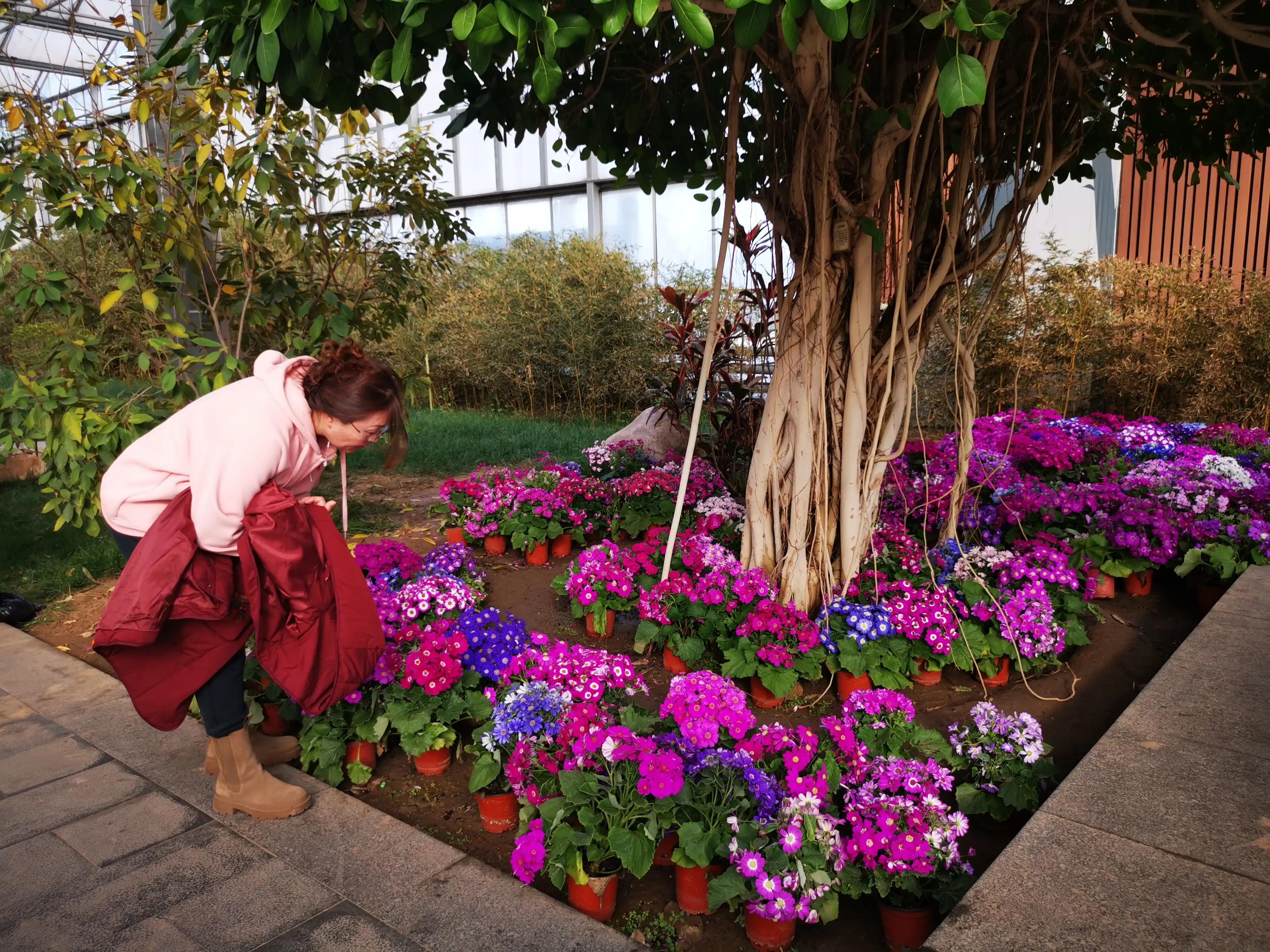 九天休闲谷最新消息,九天休闲谷门票