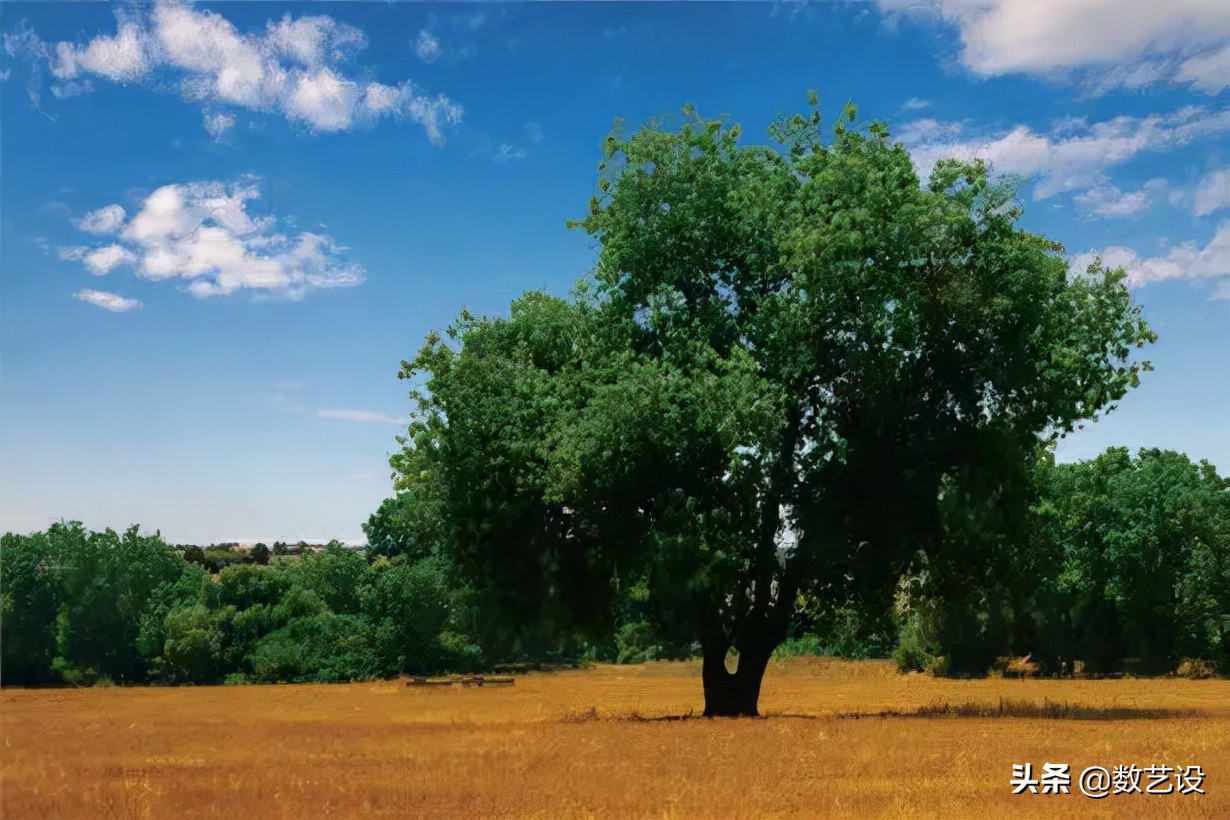 通道抠图如何选择对比强烈的,通道抠图知识点