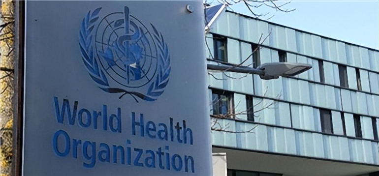 合肥长江路幼儿园教育,合肥长江路幼儿园活动