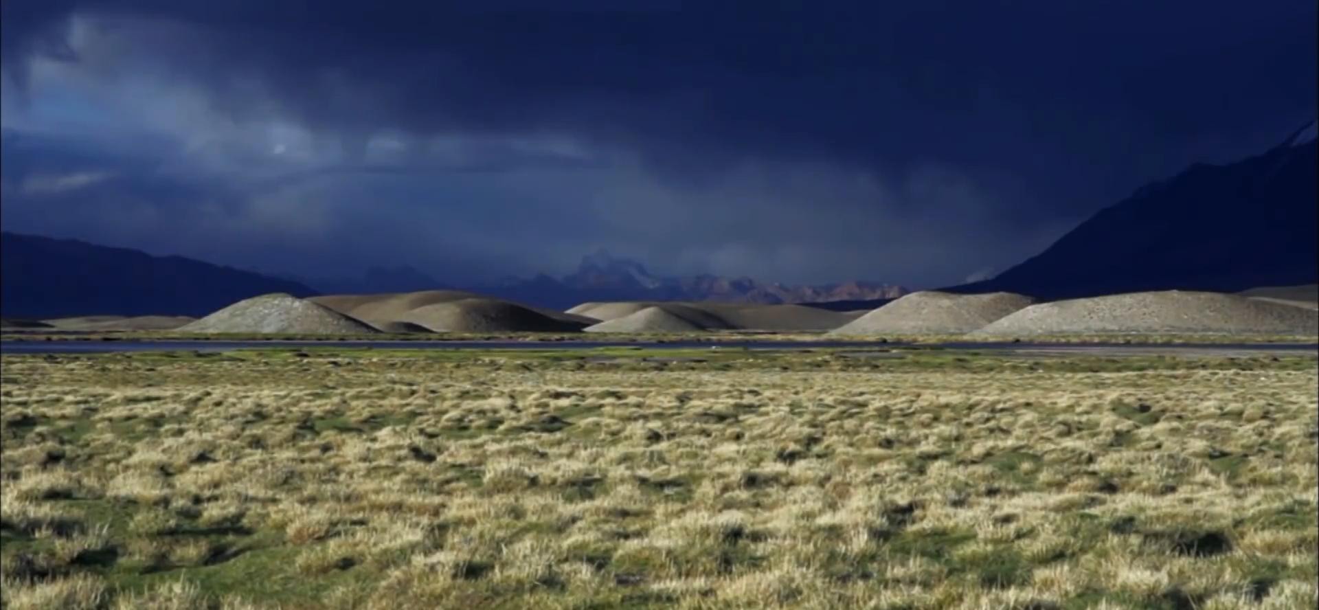 吉尔吉斯人：用100头羊换老婆，没羊男人只能孤独终老