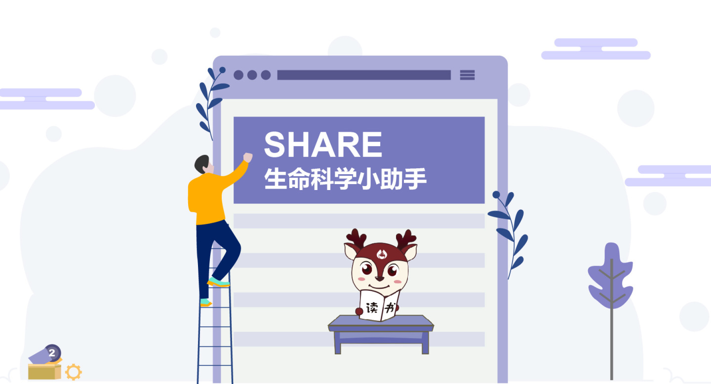 pcr反应的基本原理和过程,pcr原理及原料