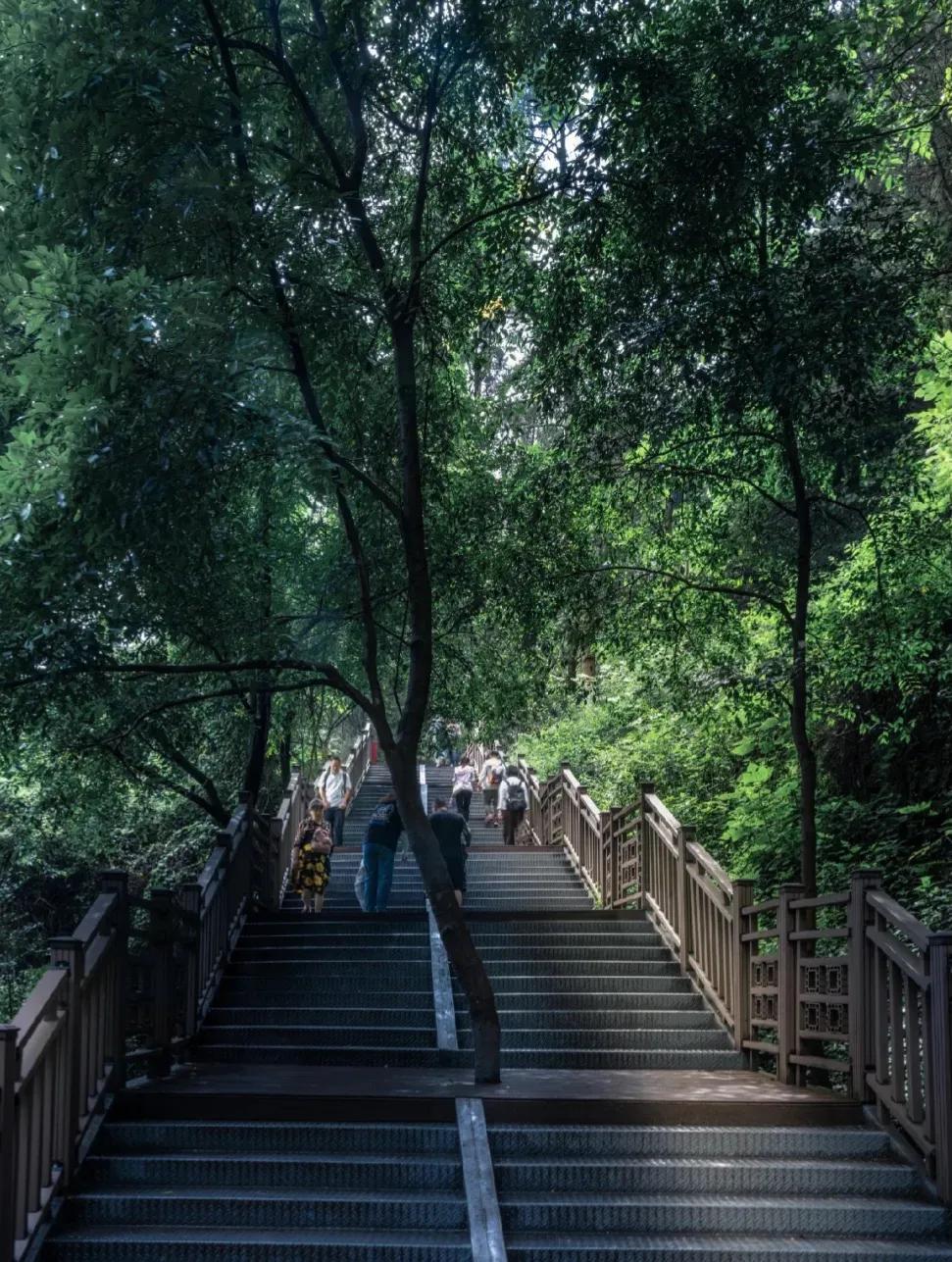 昆明游玩攻略带小孩,昆明游玩攻略三日游详细