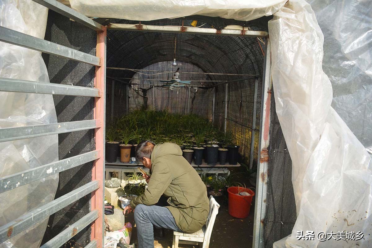 农村普通人做生意,农村人做点小生意不容易啊