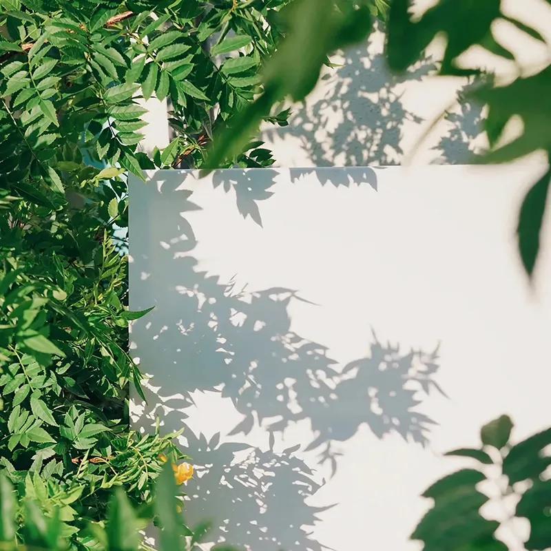 第二章财富的本质,第二章收入费用利润