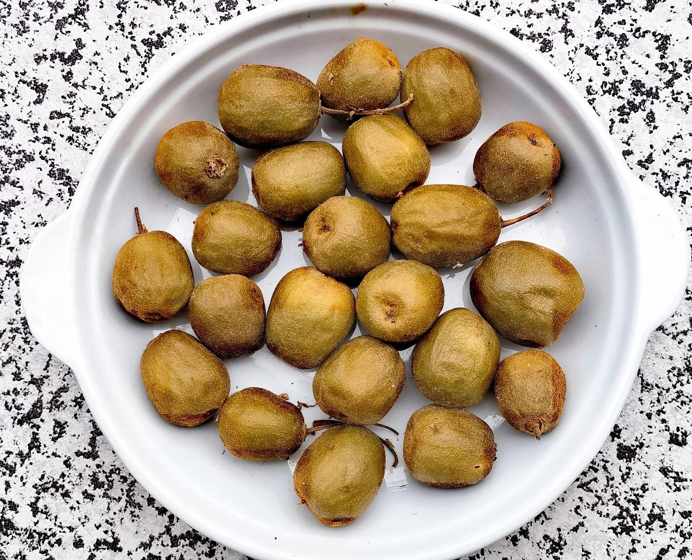 漫山遍野的野生猕猴桃,只有山里才有的特产野生猕猴桃