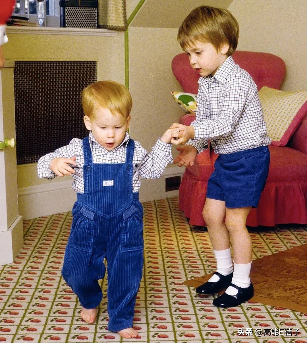 意难忘大结局丽珠离开,意难忘丽珠跟麦克的结局