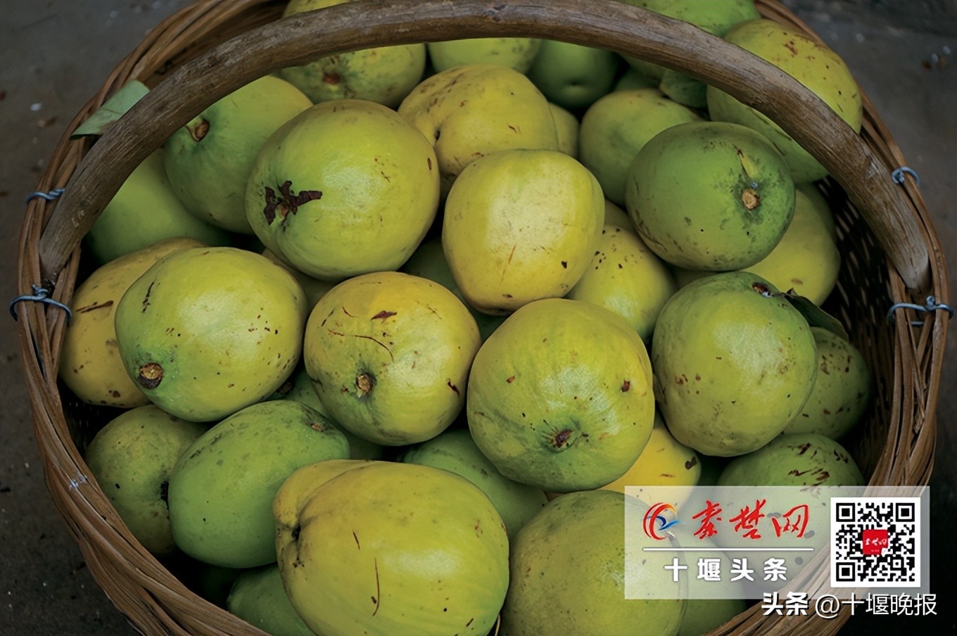 又香又甜的秋果,哪种秋果最好吃