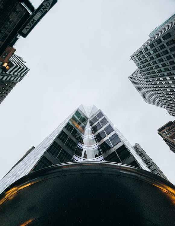 最赚钱的三大行业！短视频带货、电商直播，低碳经济成赢家