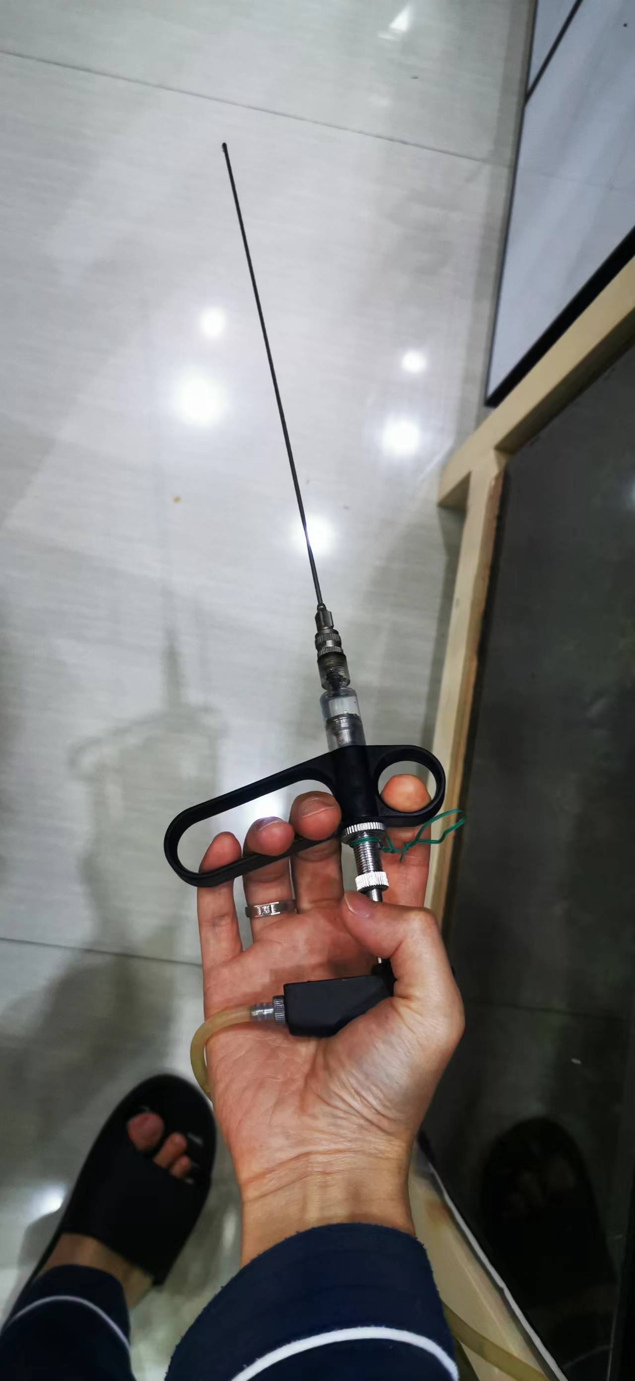 藻类植物可以预防疾病吗,杀菌盐可以预防藻类吗