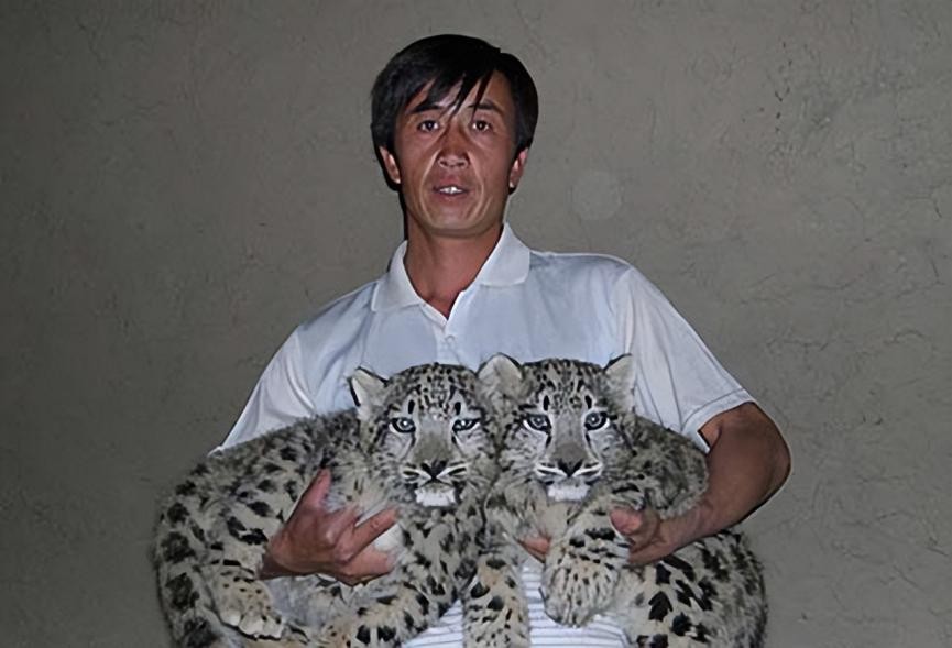 08年新疆牧民捡两只猫崽,中国男子捡到一只奶猫