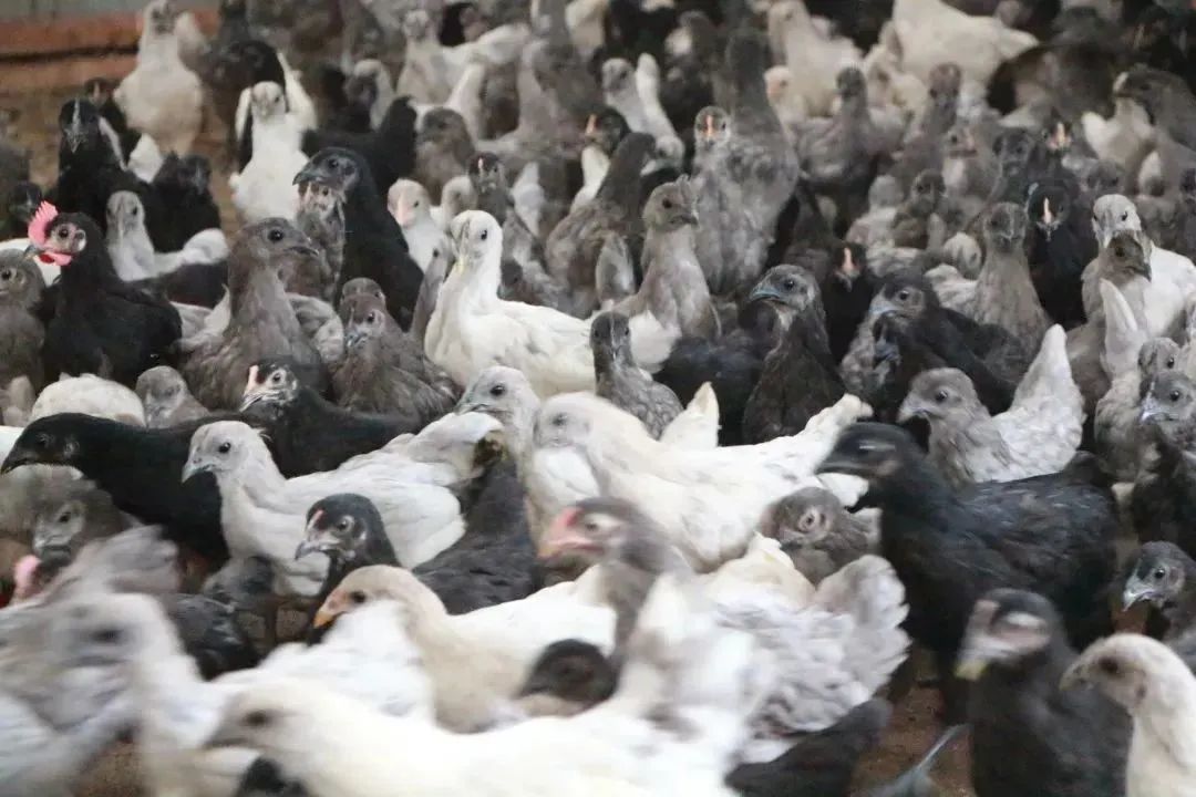 争分夺秒搞技改齐心协力保生产,争分夺秒拼经济全力以赴冲千亿