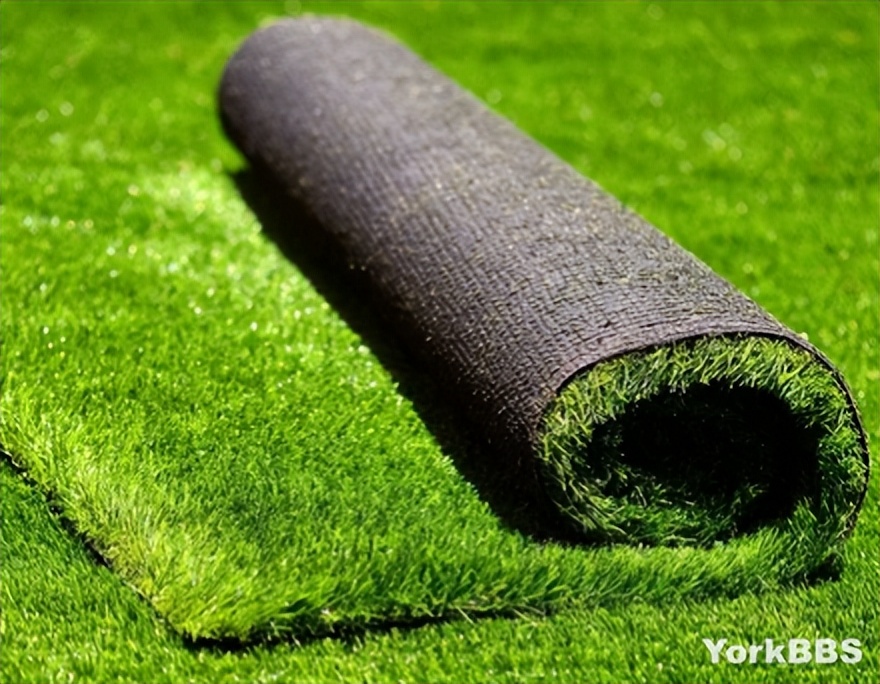 加拿大匪夷所思的规定,加拿大奇葩规定