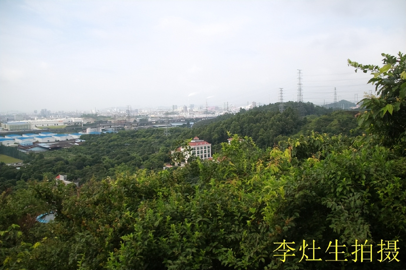 杨四将军庙简介,杨四将军庙在哪个位置