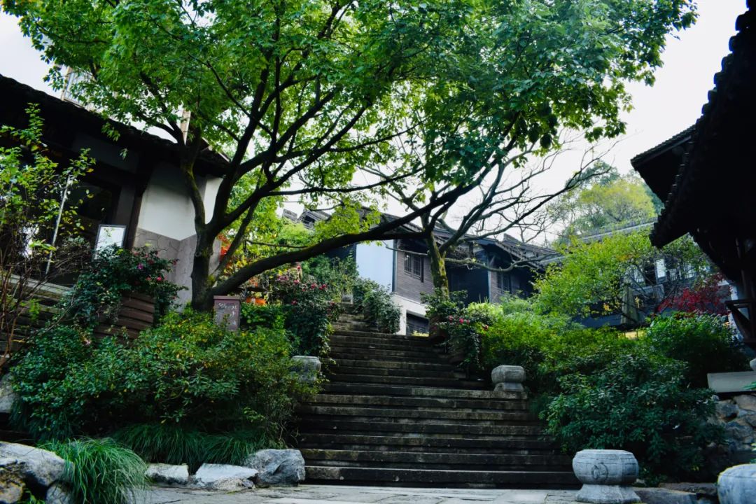 中国5000年来水平最高的20首古诗词,水平最高的中国古诗词40首高清版