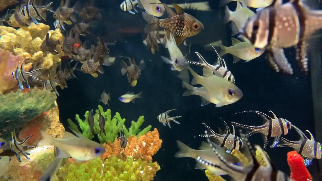 庐江真实工资,庐江工资最高的工作是什么