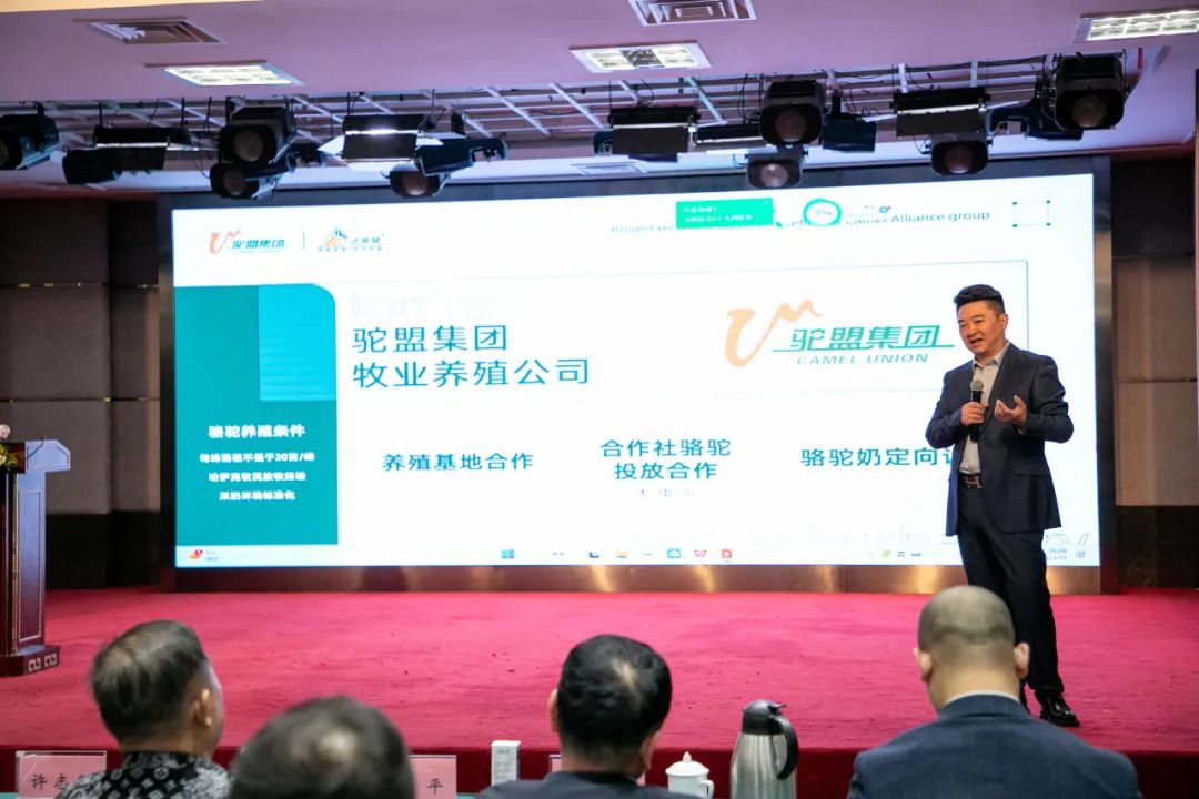 鍗冨煄鑱斿姩涓囧簵鐭╅樀鍝佺墝,鍗冨煄涓囧簵寮備笟鑱旂洘鎷涘晢鎴愬姛妗堜緥