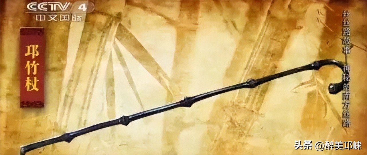 竹是风骨,平安竹养的如此茂盛