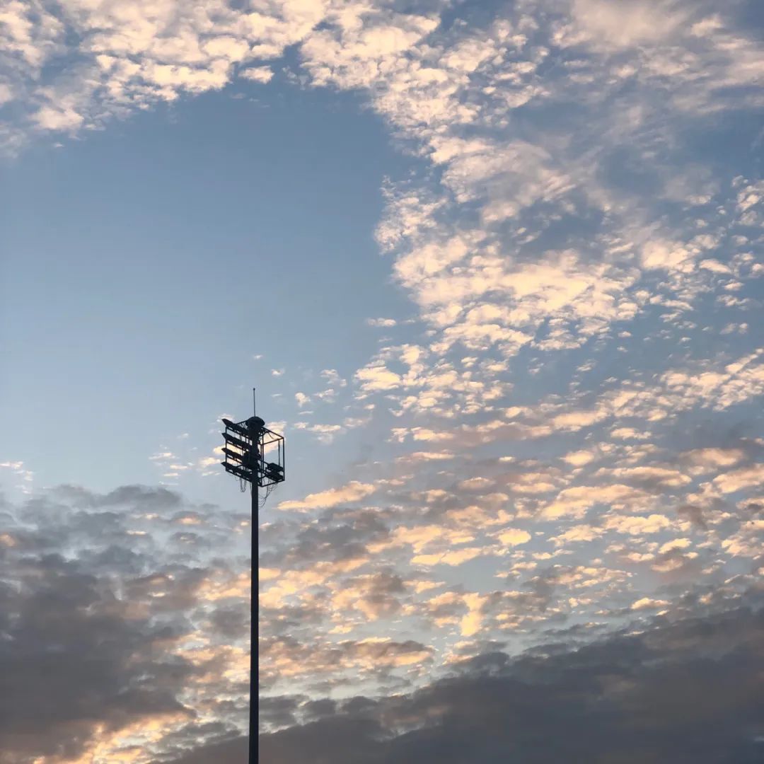 小陈的实习日记Day17：实习与律助，法条检索与检索记录