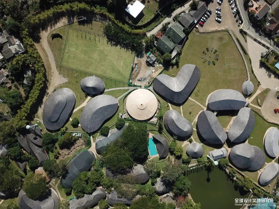 awards2018鑾峰鍚嶅崟,2019awards鑾峰鍚嶅崟