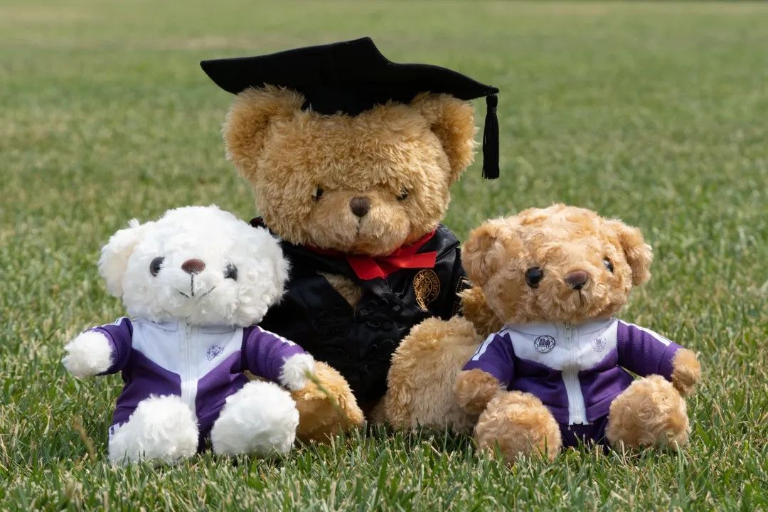 此致敬礼，我的南开