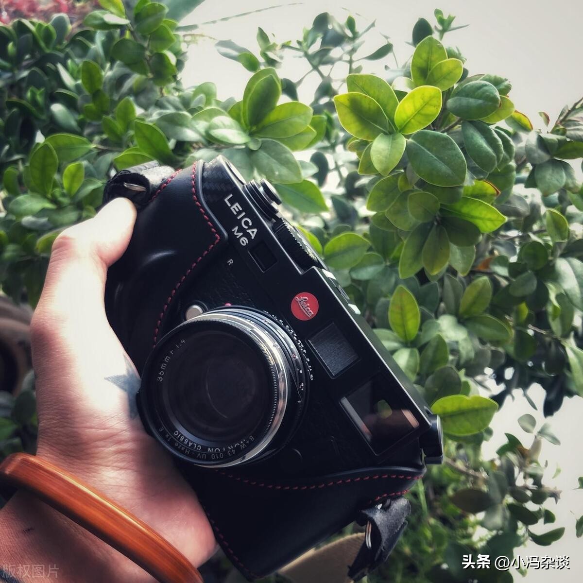 徕卡m6深度评测,徕卡m6经典作品
