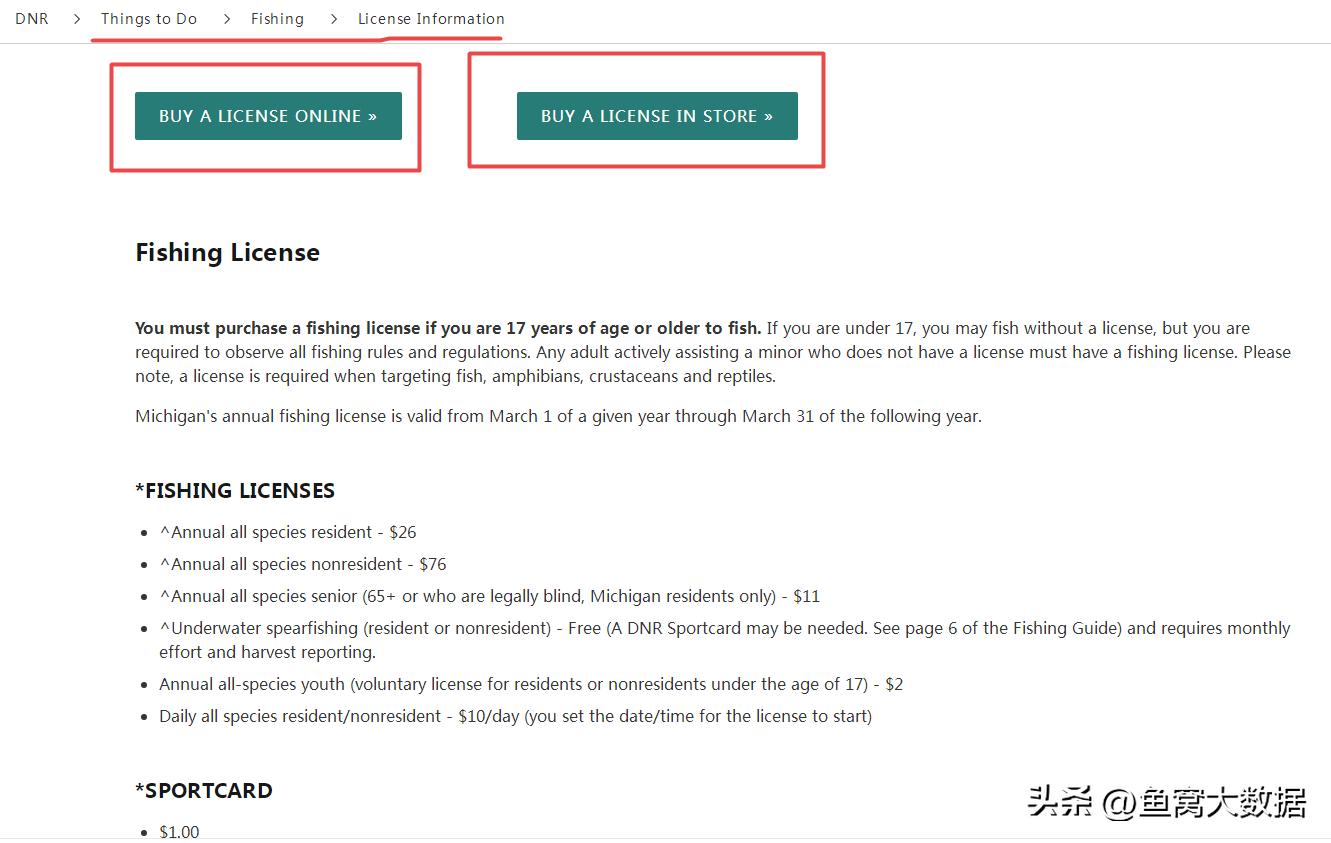 美国钓鱼游钓,钓鱼天堂岛