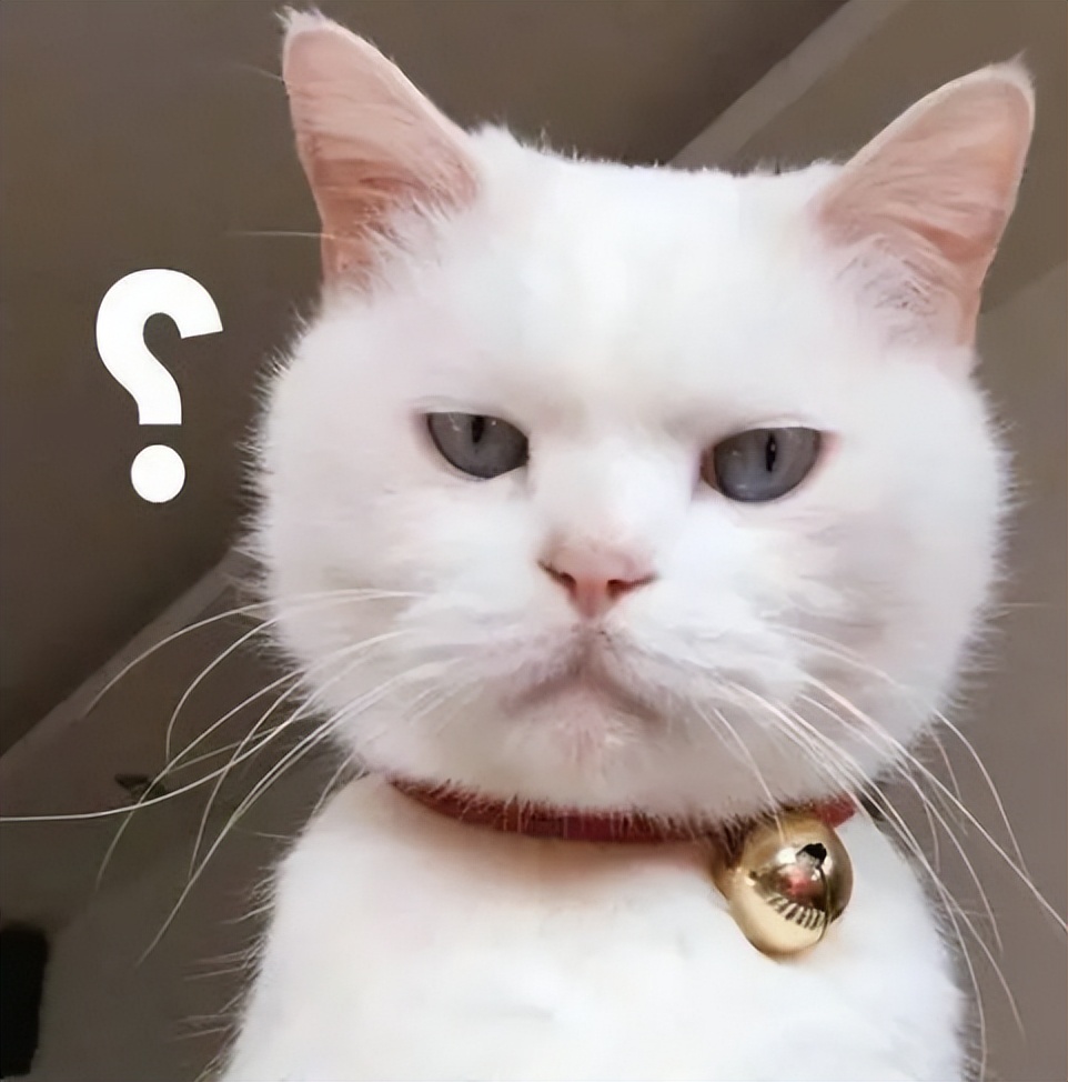 检查妇科去公立的还是私立的好,医院看妇科病有必要去吗