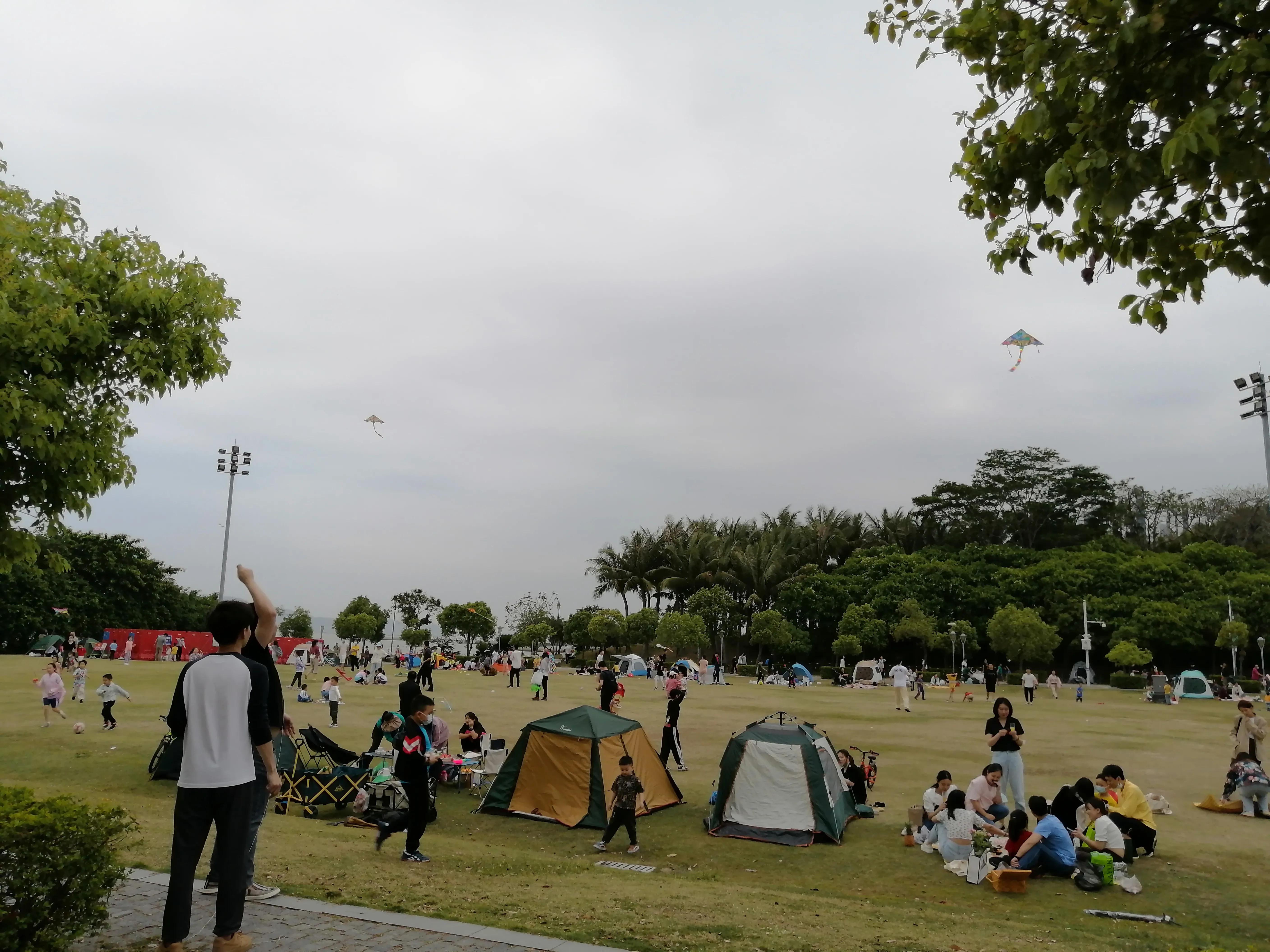 被“困兽”热情拥抱的深圳湾运动公园，该幸福大笑或痛苦尖叫呢？