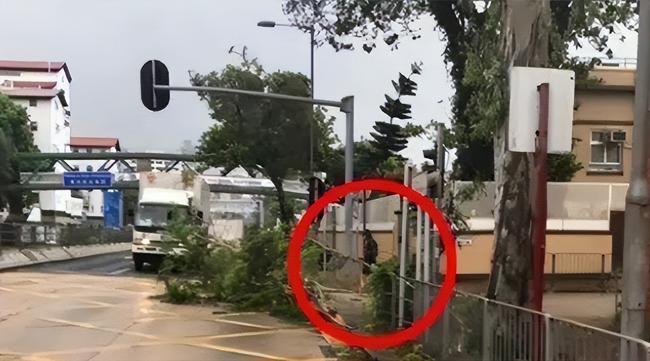 从未捐过钱的明星,周润发不为人知的心酸成长史