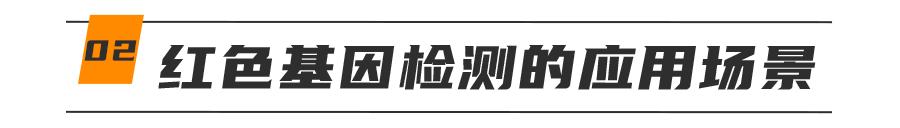 基因克隆最新突破,基因最新突破