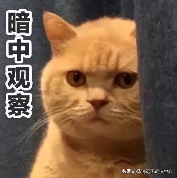 这才是程序员进大厂的正确姿势（简历篇）