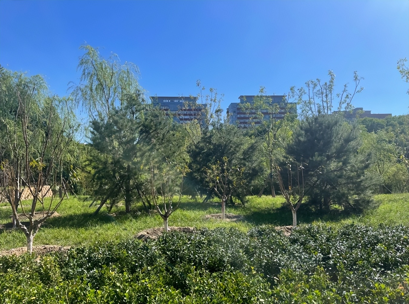 石景山区36件民生实事,2022政府报告十件民生实事