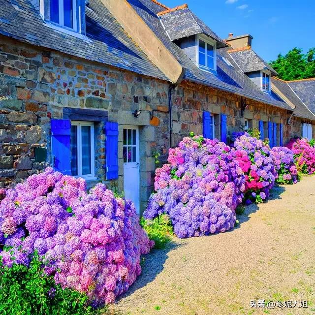 自来熟的人招人讨厌吗,自来熟无语