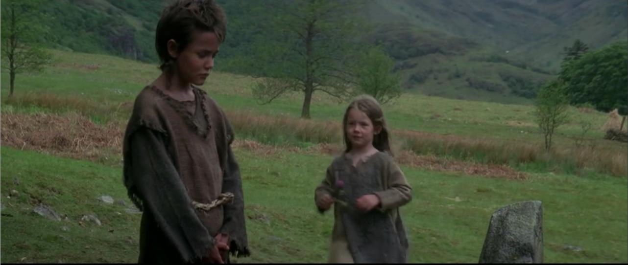 勇敢的心电影影评800字,电影勇敢的心感悟